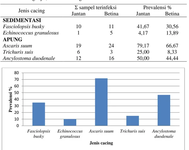 Table 1. Prevalensi telur cacing parasit yang ditemukan pada ternak babi jantan dan betina  di Marangkayu, Kutai Kartanegara 
