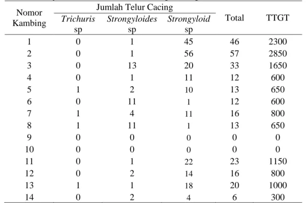 Tabel  1.  Hasil  perhitungan  total  telur  per  gram  feses  (TTGT)  untuk  menentukan  derajat infeksi Pada ternak kambing Kacang 