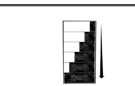 Gambar 2 Diagram Tahapan Pembentukan Citra Panoramik [7] 