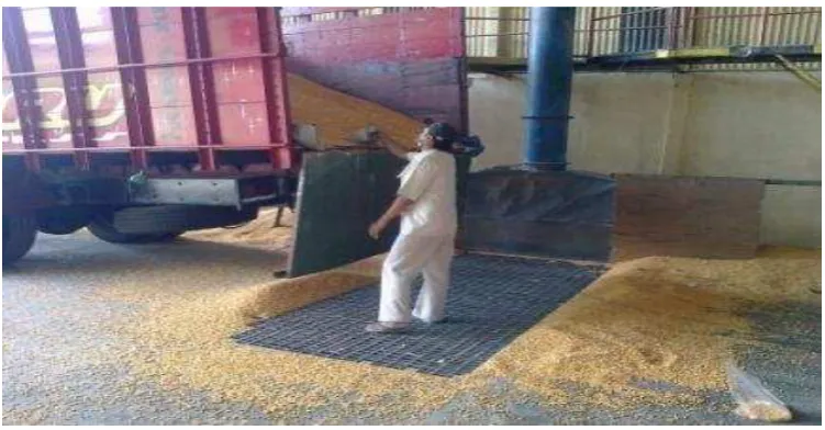 Gambar 5.3. Unloading (Koleksi Penulis, 2014) 