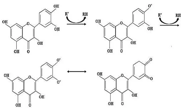 Gambar 3. Mekanisme kerja flavonoid [10] 