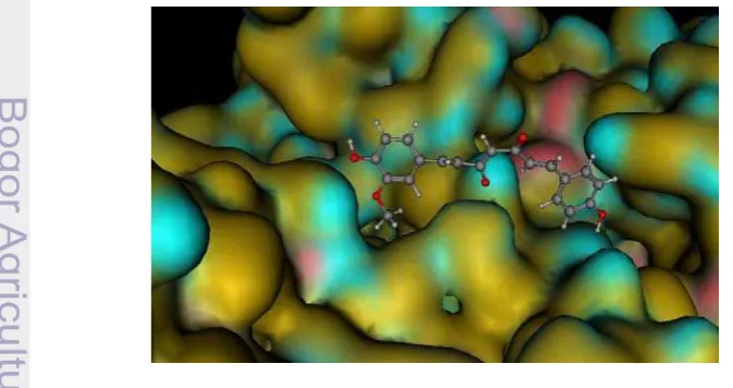 Tabel 3  Residu asam amino aksin yang membentuk ikatan hidrogen dengan ligan dan standar inhibitor kanker kolorektum 