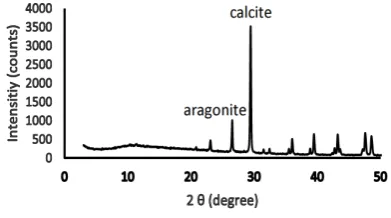 Figure 2.  XRD pattern of eggshell powder 