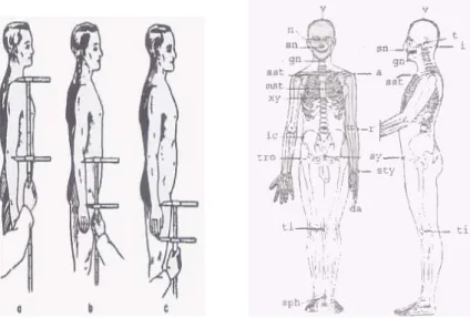 Gambar 2.2.   (A) Pengukuran beberapa Ukuran Panjang Lengan  (B) Beberapa Titik Anatomis Tubuh  