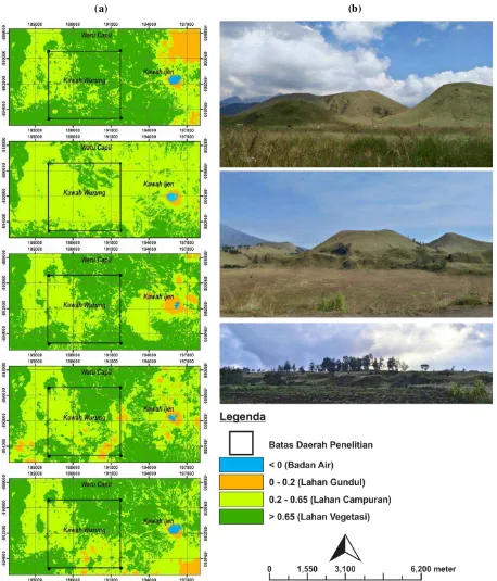 Gambar 2 . (a) NDVI pada Komplek Kawah Wurung-Ijen dengan waktu akuisisi yang berbeda yaitu 24 Mei 2015, 28 Agustus 2015, 26 Mei 2016, 11 Juni 2016 dan 29 Juli 2016 (b) Kondisi vegetasi pada daerah Kawah Wurung (dari Atas ke bawah) adalah Barat Kawah Wurun