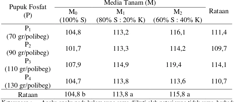 Tabel 2. Tinggi bibit kelapa sawit (cm) umur 26 MSPT di main nursery pada berbagai media tanam dan pemberian pupuk fosfat  