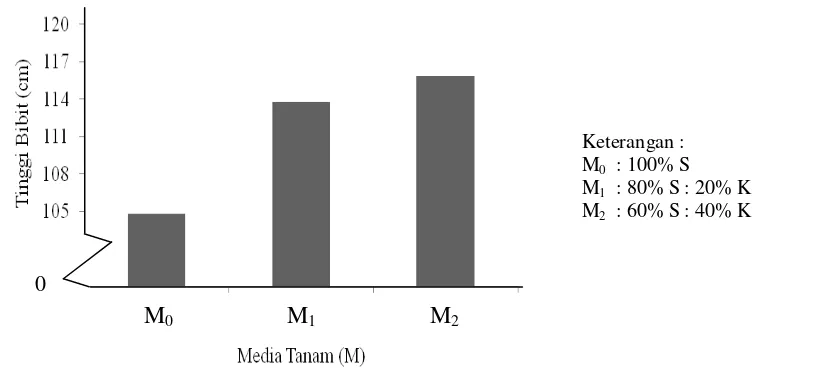 Gambar 1. Hubungan tinggi bibit kelapa sawit umur 26 MSPT di  main nursery dengan media tanam 