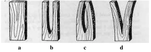 Gambar 2 Kondisi kayu dalam uji garpu: (a) kondisi awal kayu; (b) tidak terjadi case hardening; (c) terjadi case hardening (d) reverse case  hardening 