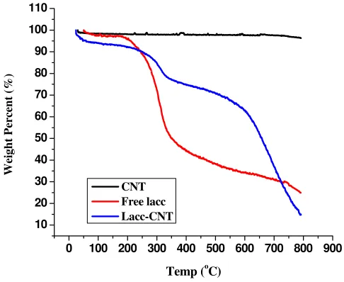 Figure 4. TGA Analysis of Laccase-covalently attached CNT 
