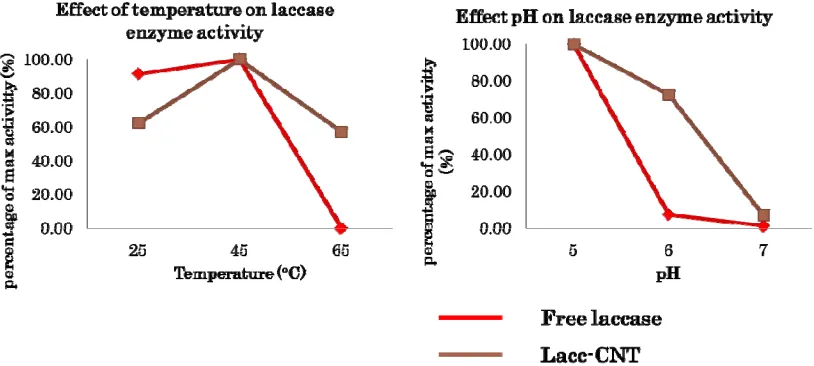 Figure 5. Effect of Temperature and pH to Laccase Enzymatic Activity 