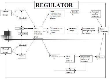 Gambar 2: Sistem Regulator (Fitzpatrick, 1989)  