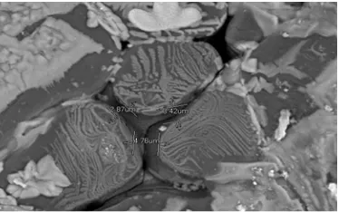 Figure 2. Micro image MgFe2O4 at 3000x magnification. 