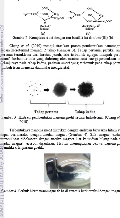 Gambar 3  Ilustrasi pembentukan nanomagnetit secara hidrotermal (Cheng  et al. 