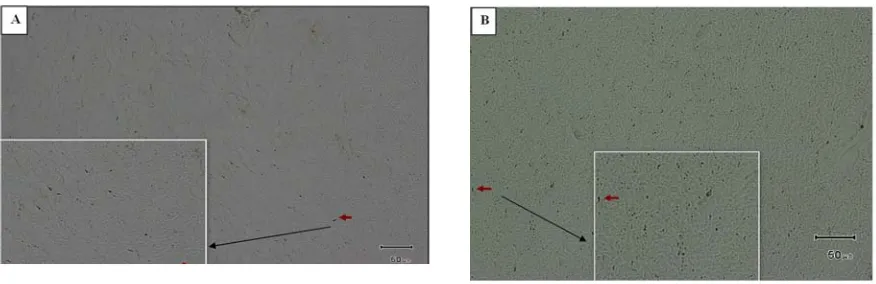 Table 1. Profile number of microglia cells from control group rats and group exposed with MeHg at a dose of 0.6 mg / kg / day Total Average of Difference in Total Microglia 