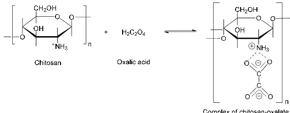 Figure 1. Schematic reaction of chitosan and oxalic acid 