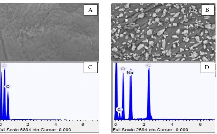Figure 2. SEM micrograph of (A) chitosan and (B) sulfated chitosan (C) EDX-system of chitosan (D) EDX-system of sulfated chitosan  