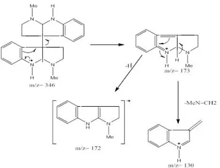 Figure 1. Ion fragmentation of Calychantine 