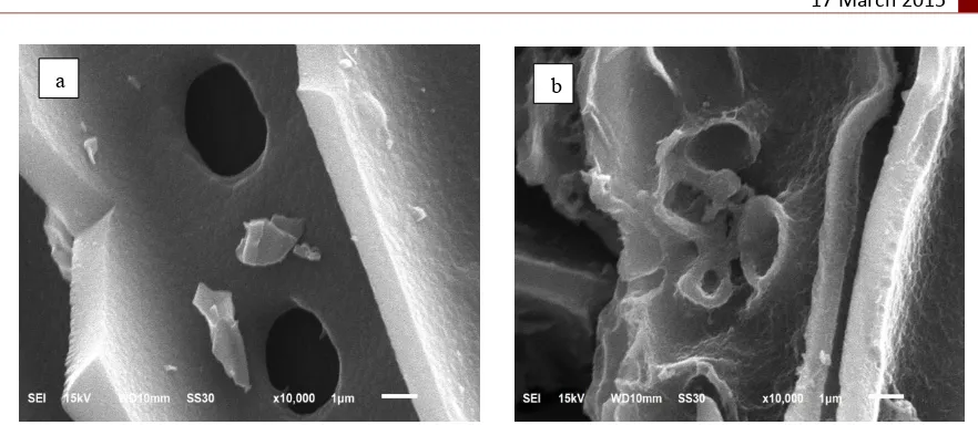Figure 3.  Morphology of (a) activated carbon and (b) alumina-activated carbon composite 