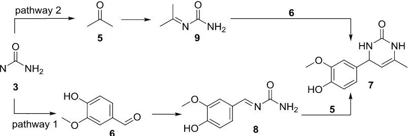 Figure 5. Proposed two possible reaction pathways 