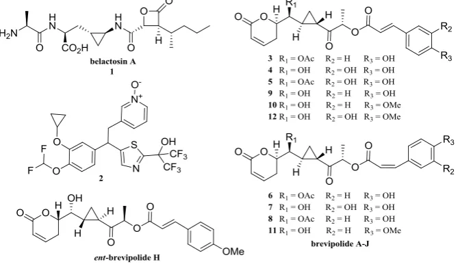Figure 1 . Cyclopropyl moiety in biologically active natural products and pharmaceuticals 