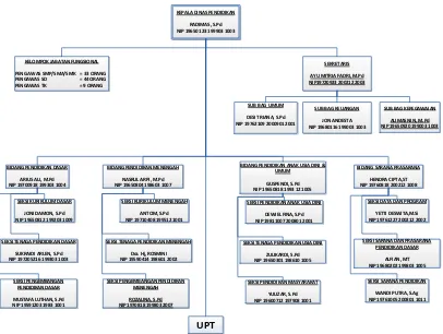 Gambar 2.1 Struktur Organisasi Dinas Pendidikan Kabupaten Lima Puluh Kota