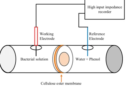 Figure 1. Measurement configuration 