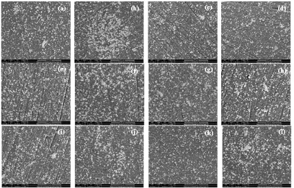 Figure 3. SEM images of the TiAlN surface with various surface area ratios of Al (a) 10 % Al; 15 min, (b) 20 % Al; 15 min, (c) 30 % Al; 15 min, (d) 40 % Al; 15 min (e) 10 % Al; 30 min, (f) 20 % Al; 30 min, (g) 30 % Al; 30 min, (h) 40 % Al; 30 min (i) 10 % Al; 45 min, (j) 20 % Al; 45 min, (k) 30 % Al; 45 min, (l) 40 % Al; 45 min  