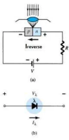 Gambar 2.3.2.4. (a) Cara melakukan bias pada photodioda. (b) Simbol photodioda 