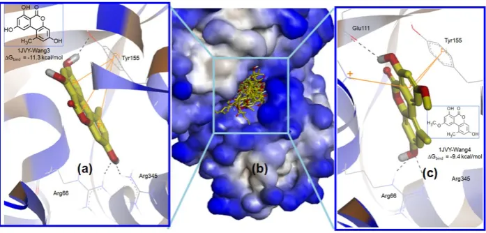 Figure 4 the pose of (c) Wang4 at the binding site of 1JVY. The individual poses of Wang3 and Wang4 was visualized as stick forms with carbon in yellow and standard colors of O and H whereas the protein was performed in ribbon, whereas the superposition wa