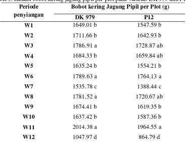 Tabel 3. Rataan bobot kering jagung pipil per plot pada varietas DK 979 dan P12  