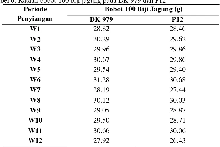 Tabel 6. Rataan bobot 100 biji jagung pada DK 979 dan P12 