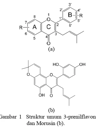 Gambar 1  Struktur umum 3-prenilflavon (a)    