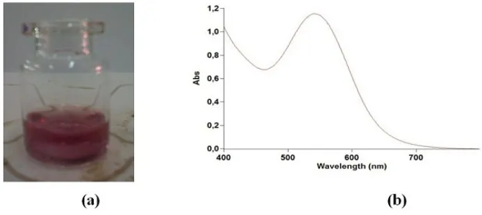 Figure. 1. (a) Photographs and (b) UV-Visible spectrum of M. malabathricum fruit extract 