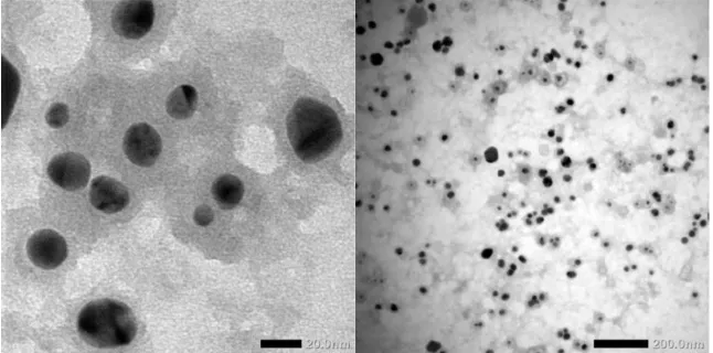 Figure 3. Particle size distribution of silver nanoparticles in M. malabathricum fruit extract 