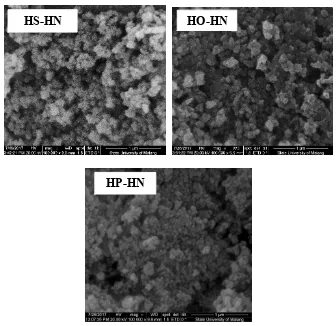 Figure 5. SEM images of the composites prepared using 3 different double oxidizing agents (HP–HN=H3PO4–HNO3; HS–HN=H2SO4–HNO3; HO–HN=H2O2–HNO3) 