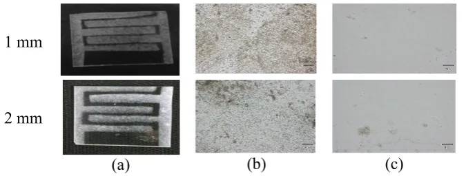 Figure 1. Deposition of results (a). Electrode pattern (b). Surface electrode (c). Among the electrodes  