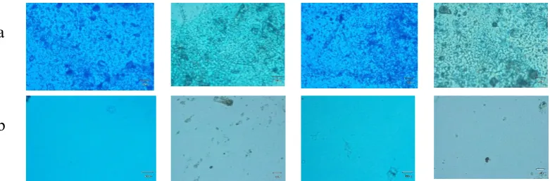 Figure 2.Electrode picture after deposition of thin layer : (a) Electrode pattern (b) ZnPc deposition for 25 minutes (c) ZnPc deposition for 45 minutes  