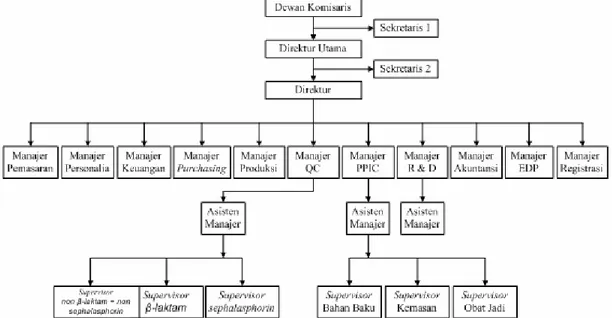 Gambar 1.1 Struktur Organisasi PT. Metiska Farma 