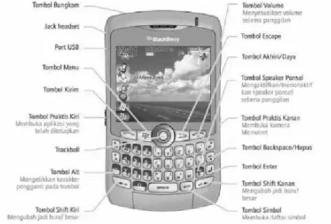 Gambar 2.2 BlackBe rry Mobile 