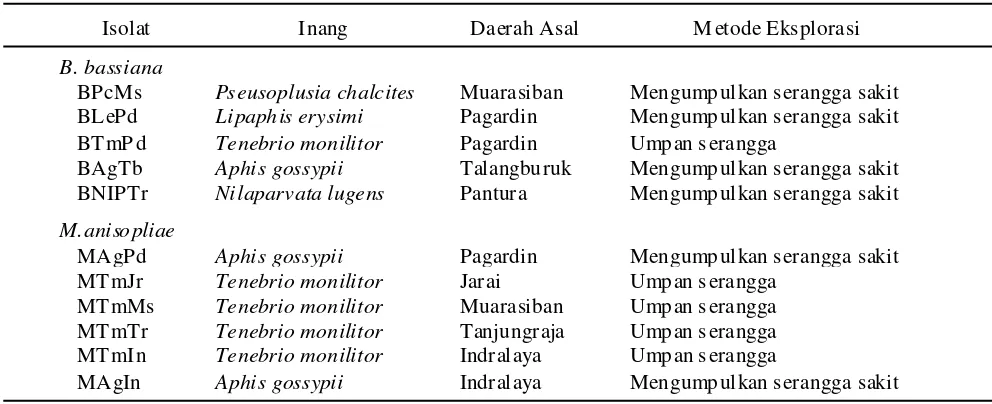 Tabel 1. Isolat jamur entomopatogen koleksi laboratorium