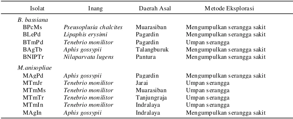 Tabel 1. Isolat jamur entomopatogen koleksi laboratorium