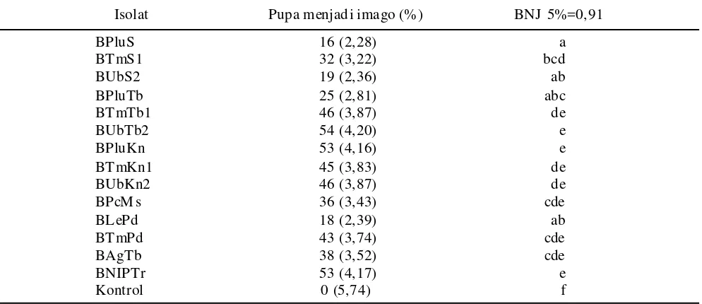 Tabel 10.  Persentase pupa P. xylostella menjadi imago setelah aplikasi M. anisopliae