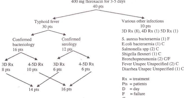 Table 3. Clinical and bacteriological efficacy short coursefleroxacin Rx (N=30)