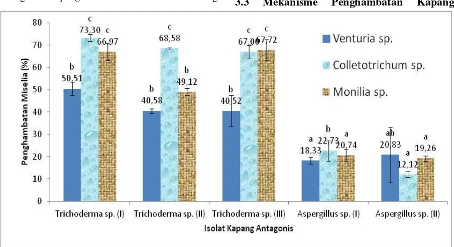 Gambar 2.  Rata-rata persentase penghambatan kelima isolat kapang antagonis terhadap pertumbuhan kapang patogen Venturia sp., Colletotrichum sp., dan Monilia sp