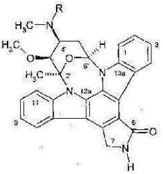 Gambar 12. N-Carboxamido-staurosporine