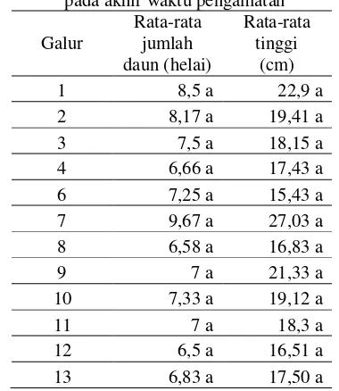 Tabel 3 menunjukkan tingkat serangan R. solaniserangan muncul pada 8 dari 12 galur. Delapan galur tersebut tidak terdapat adanya perbedaan yang signifikan