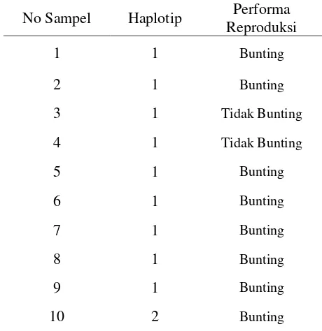 Tabel 2.  Hubungan Haplotip gen GDF-9 dengan Performa Reproduksi sapi PO 