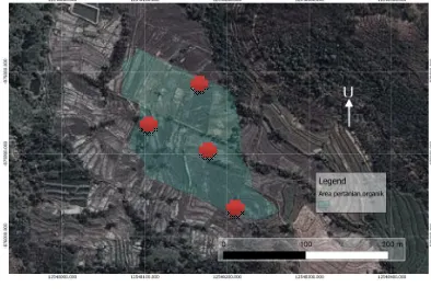 Gambar 1. Sawah Organik, Desa Sumber Ngepoh, Kecamatan Lawang, Kabupaten Malang (foto satelit) 