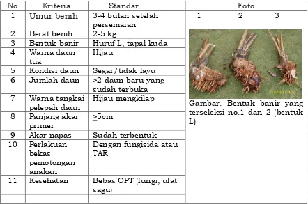 Tabel 3. Kriteria benih sagu dalam polibeg   