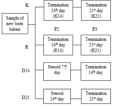 Table 1.Grouping of mice in each treatment 